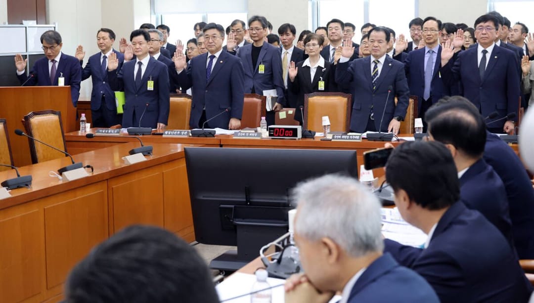 1일 서울 여의도 국회에서 열린 선거관리위원회 국정조사특별위원회에 출석한 증인들. /사진=연합뉴스